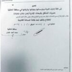 Preliminary Monitoring of the Administrative Reality and Professional Freedoms within Public Institutions